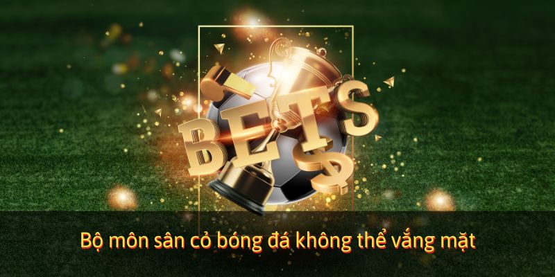 Bộ môn sân cỏ bóng đá không thể vắng mặt