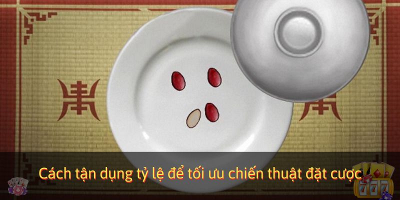 Cách tận dụng tỷ lệ để tối ưu chiến thuật đặt cược