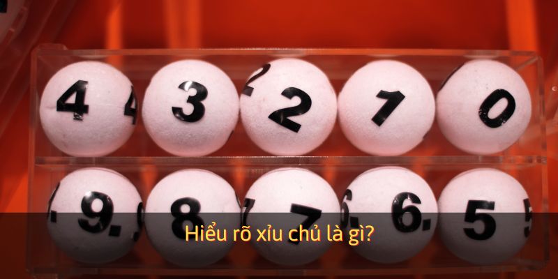 Hiểu rõ xỉu chủ là gì?