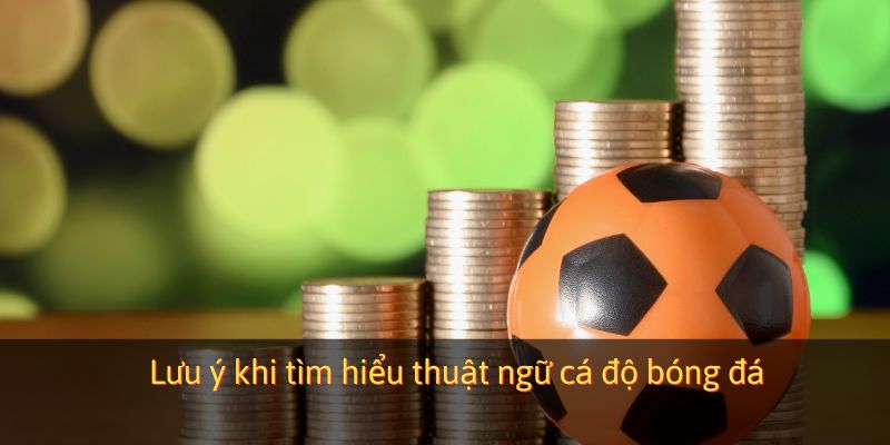 Lưu ý khi tìm hiểu thuật ngữ cá độ bóng đá