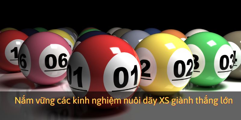 Nắm vững các kinh nghiệm nuôi dãy XS giành thắng lớn