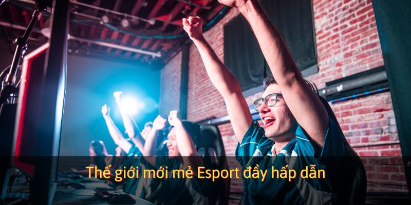 Thế giới mới mẻ Esport đầy hấp dẫn