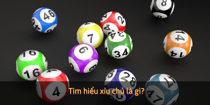 Tìm hiểu xỉu chủ là gì?