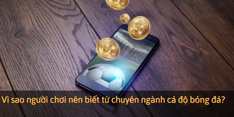 Vì sao người chơi nên biết từ chuyên ngành cá độ bóng đá?